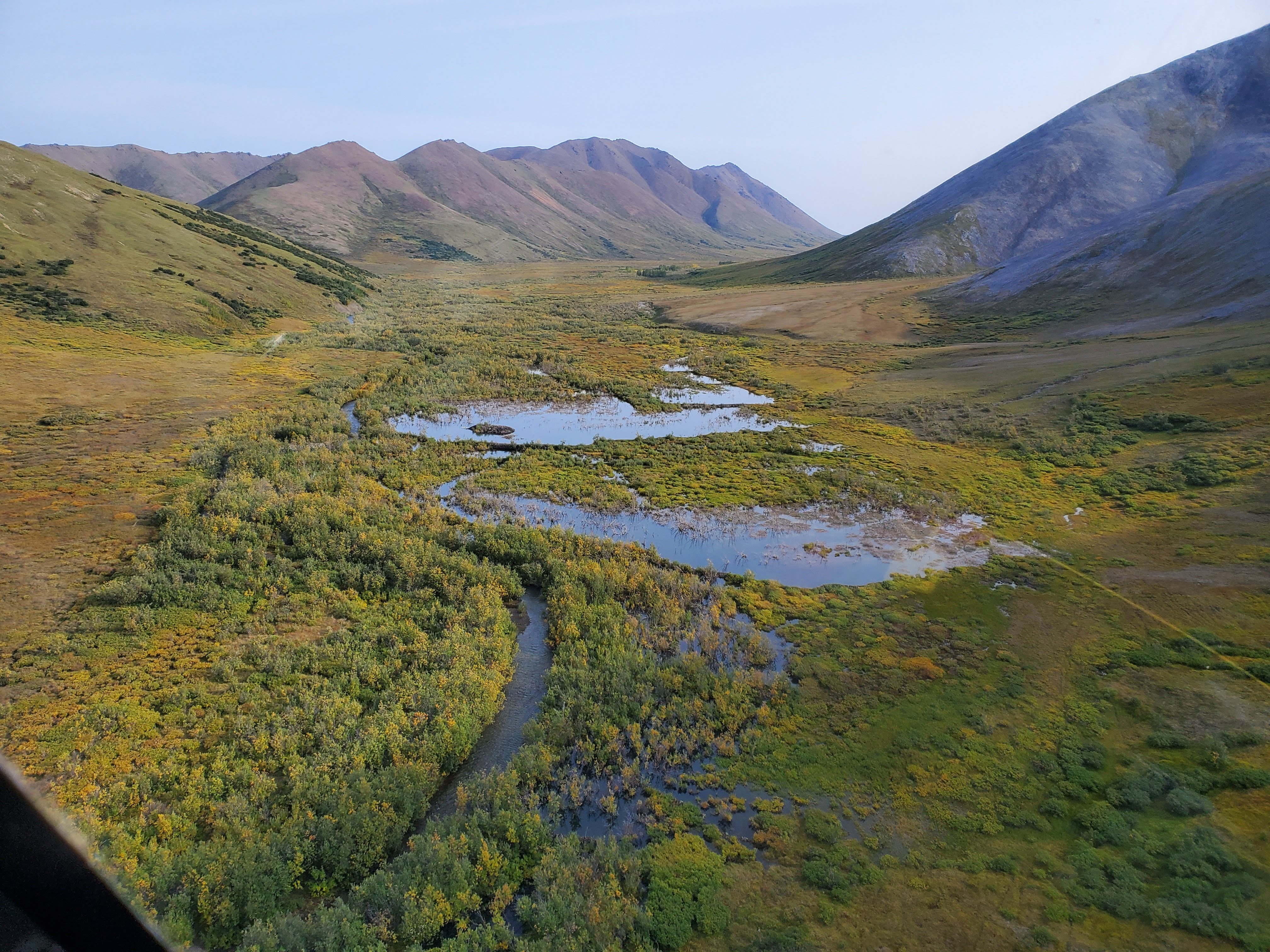 Eli River Beaver Pond, Noatak Nat. Preserve Alaska (credit: Brett Poulin)