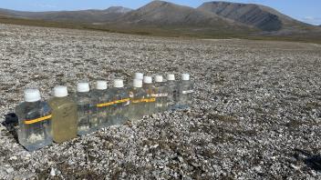 Samples ready to be filtered