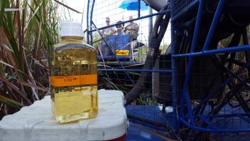 Amber colored pore water sample collected from a wetland
