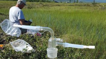 Flask of water sample and field scientist in Alaskan wetland. 