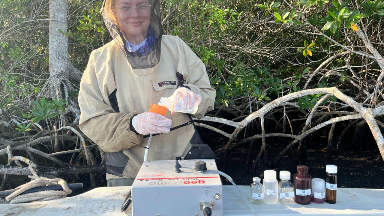 Ania sampling in the Everglades