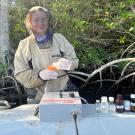Ania sampling in the Everglades