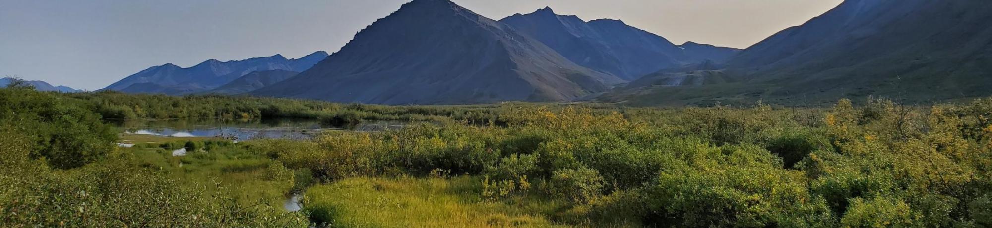 Sunset of a study wetland site in northwest Alaska (Wrench Creek). 